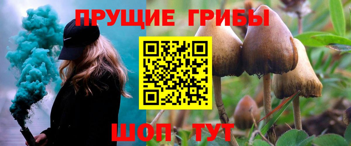 Галлюциногенные грибы прущие грибы Новокубанск